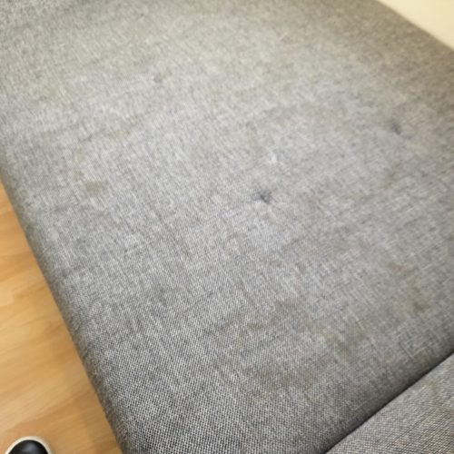 IMG-20250318-WA0014